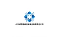 山东城思网络技术服务有限责任公司 标志